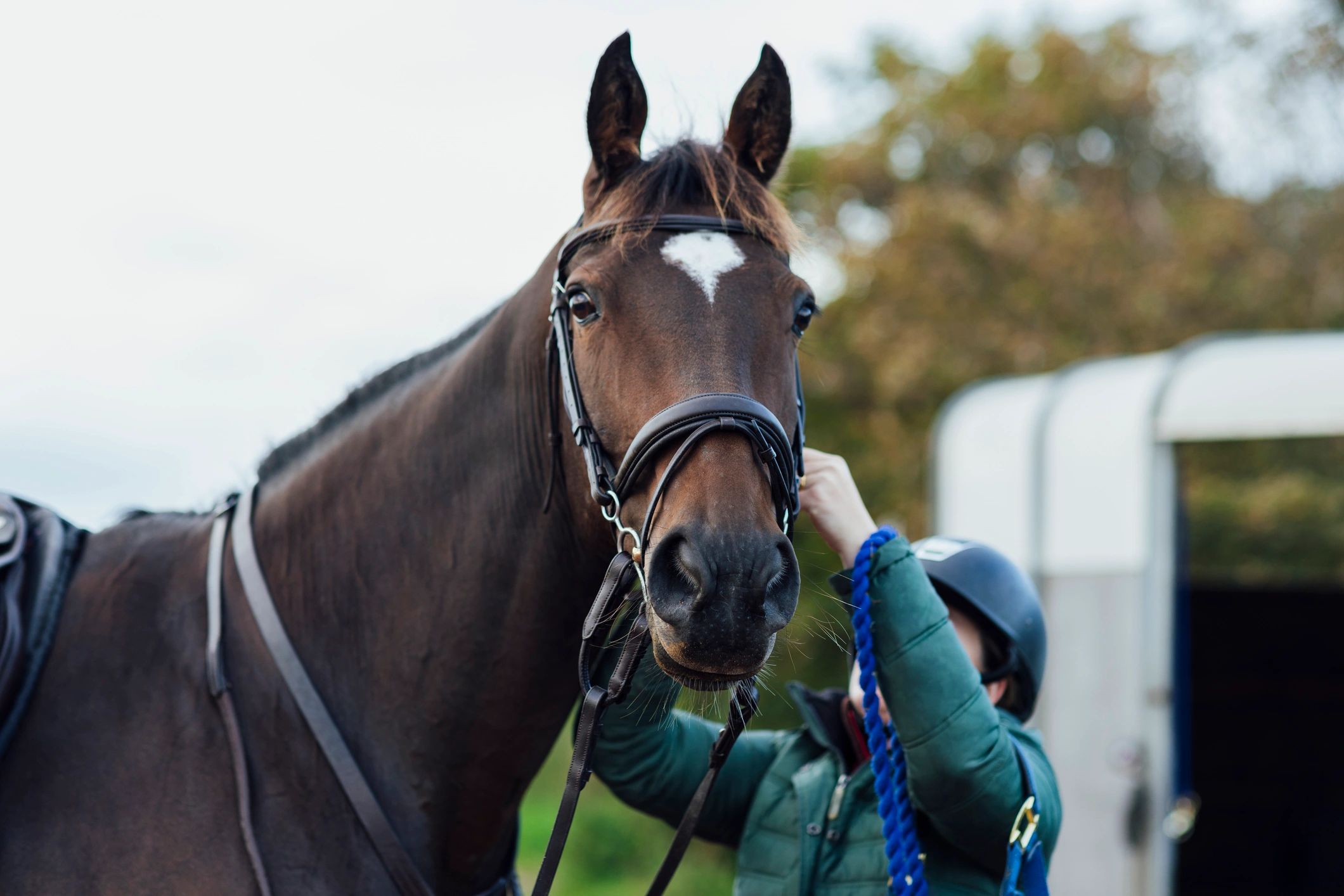 Behind the scenes equine videography preparation