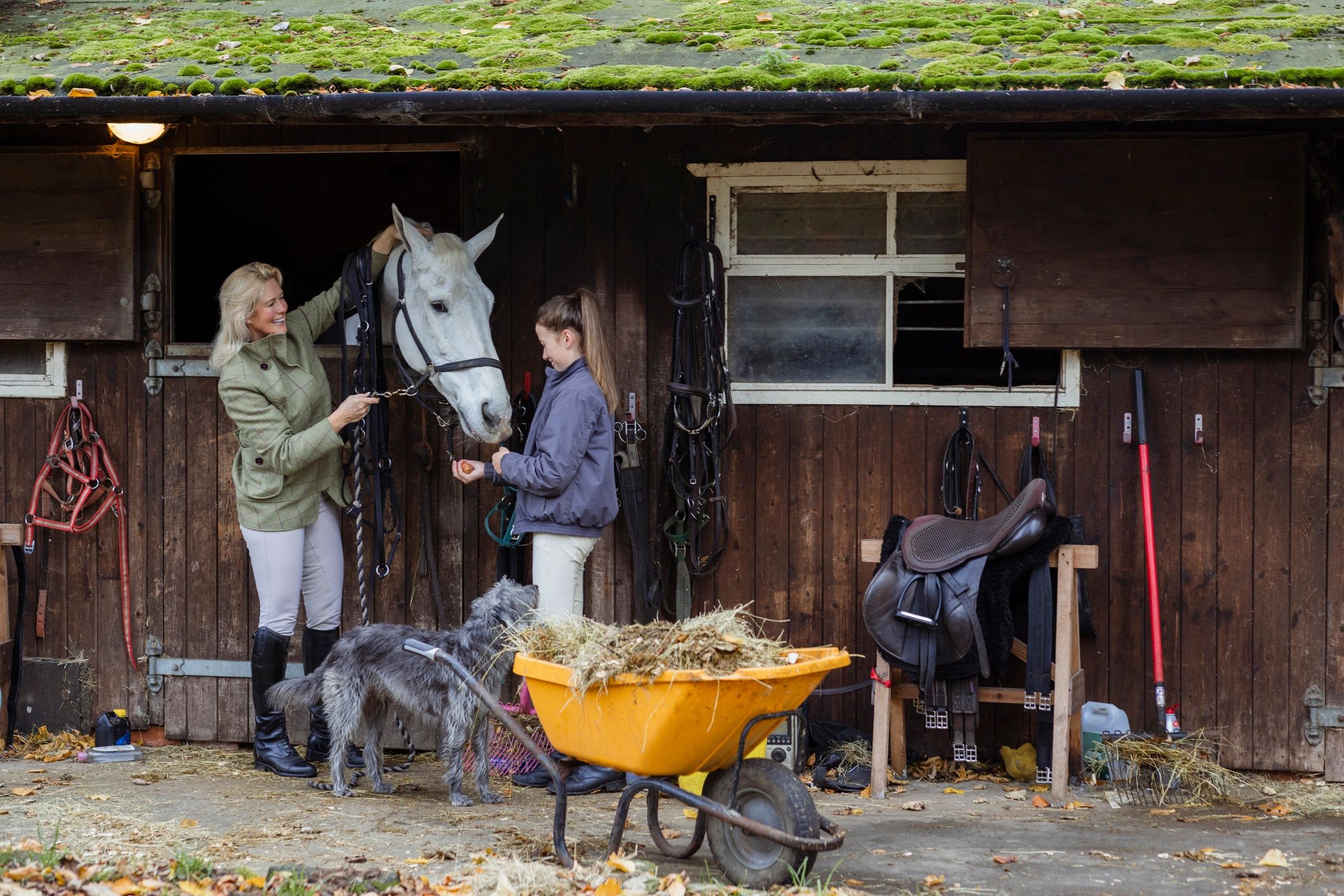 Horse owner with horse at the stable