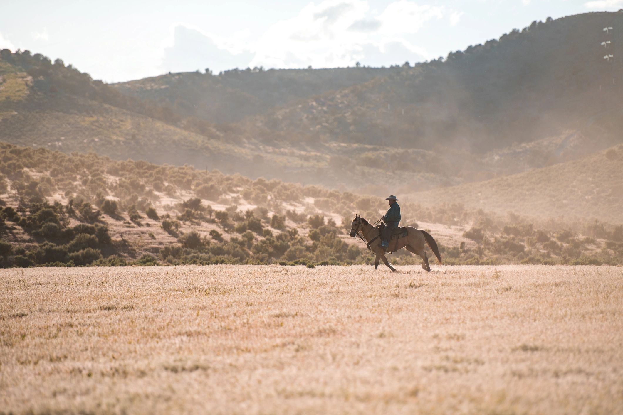 Horse and rider in motion across an open setting