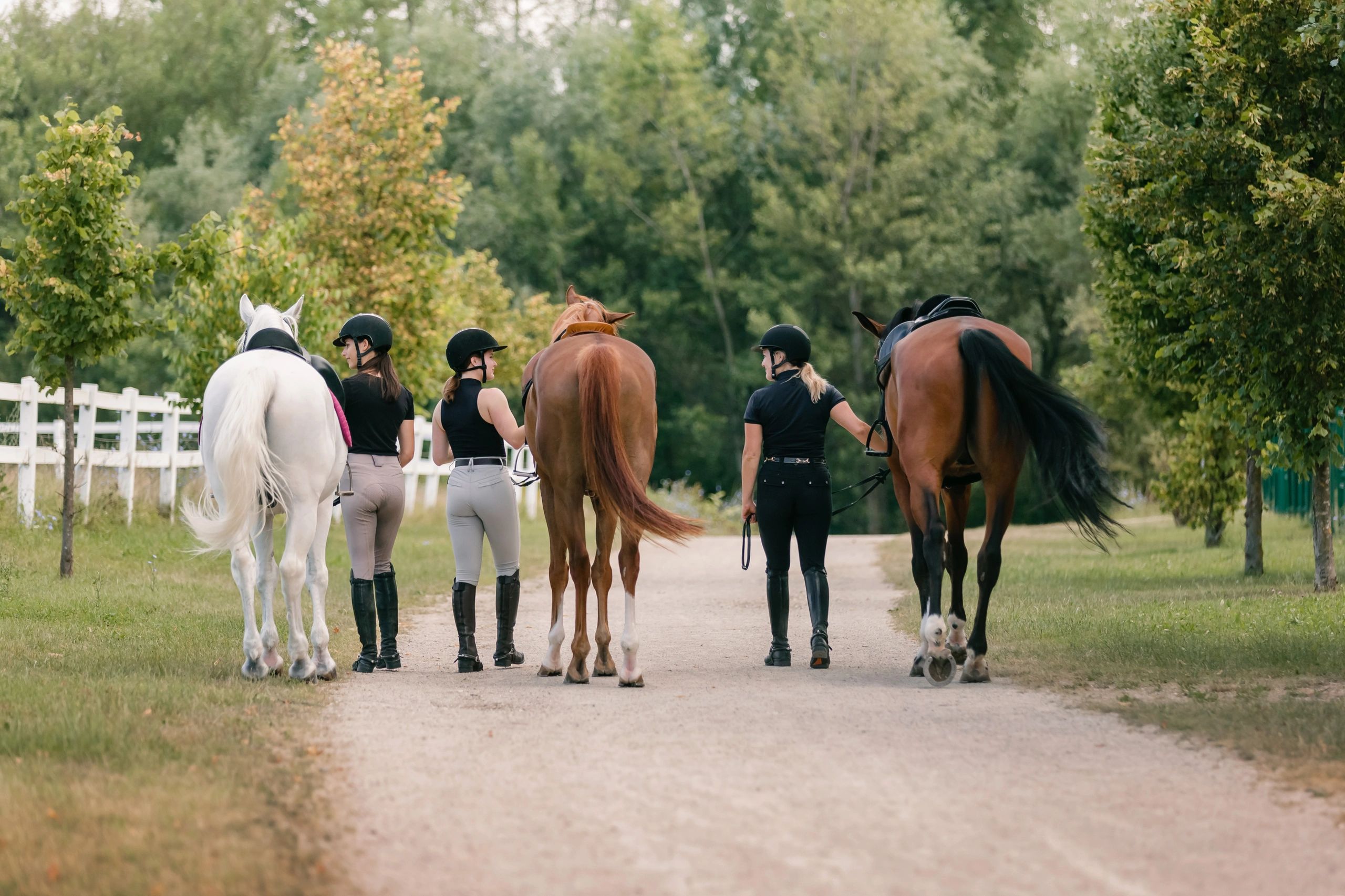 Equestrian riders leading horses at a show venue