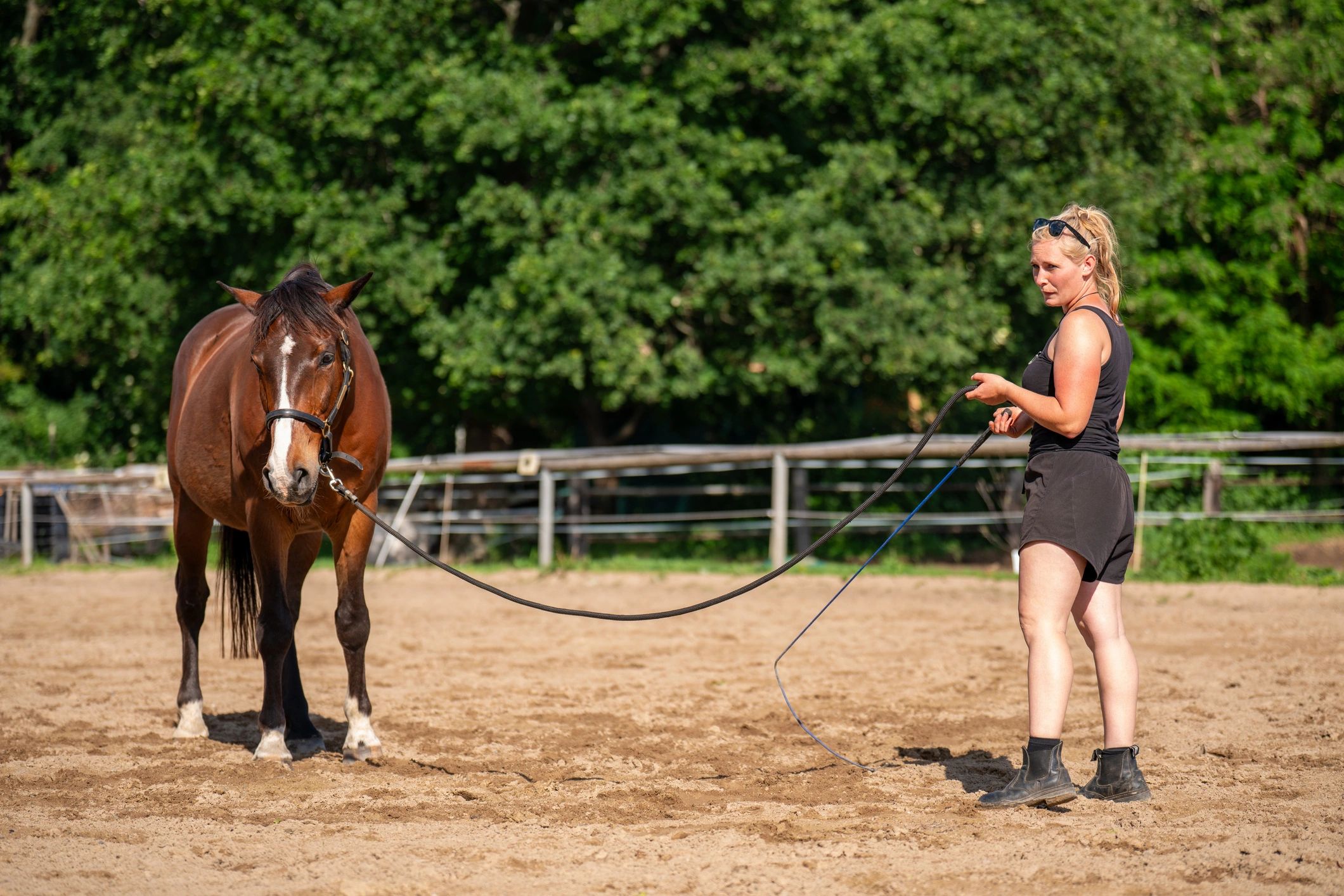 Horse in motion during equine video session