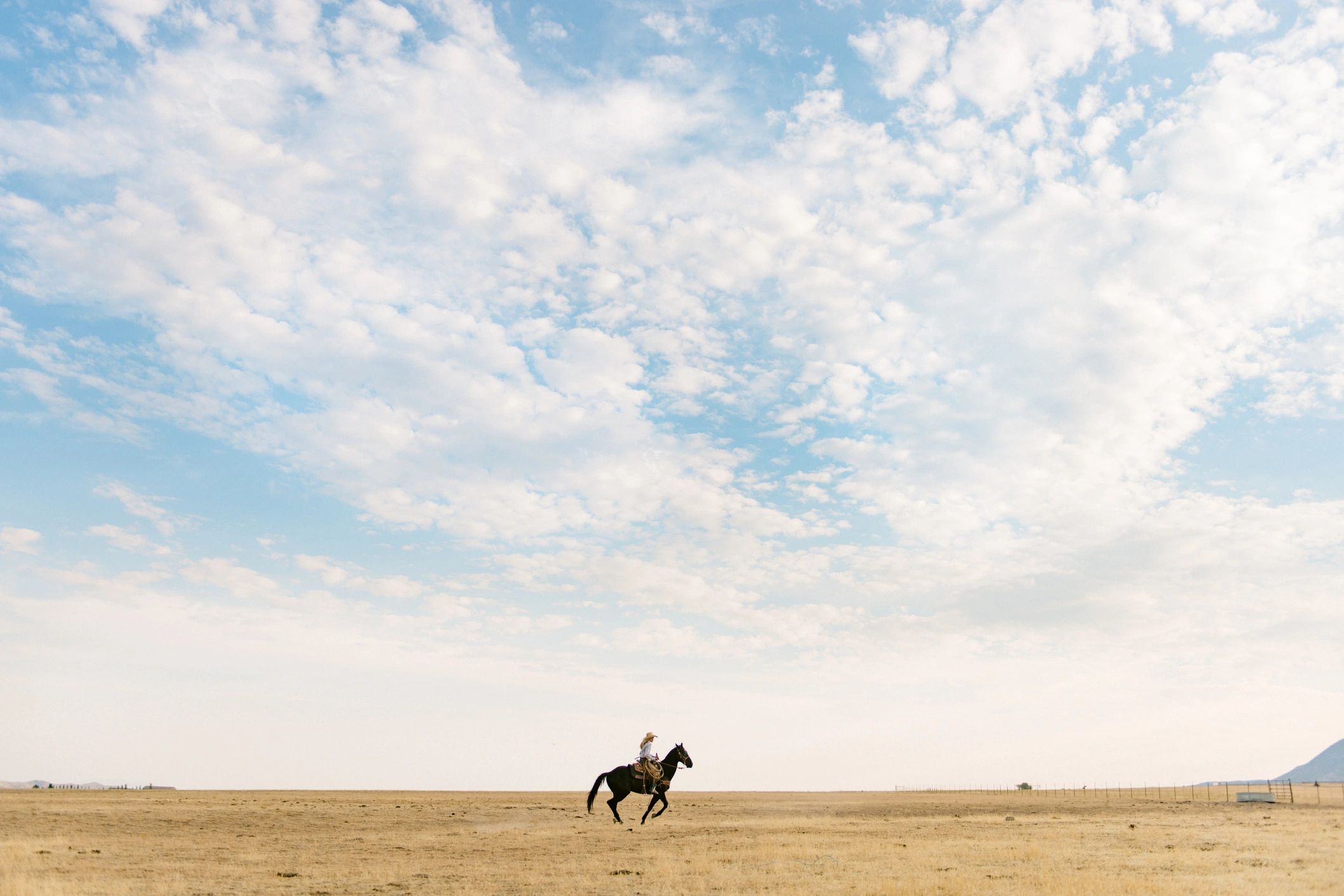 Horse and rider portrait session in an open landscape