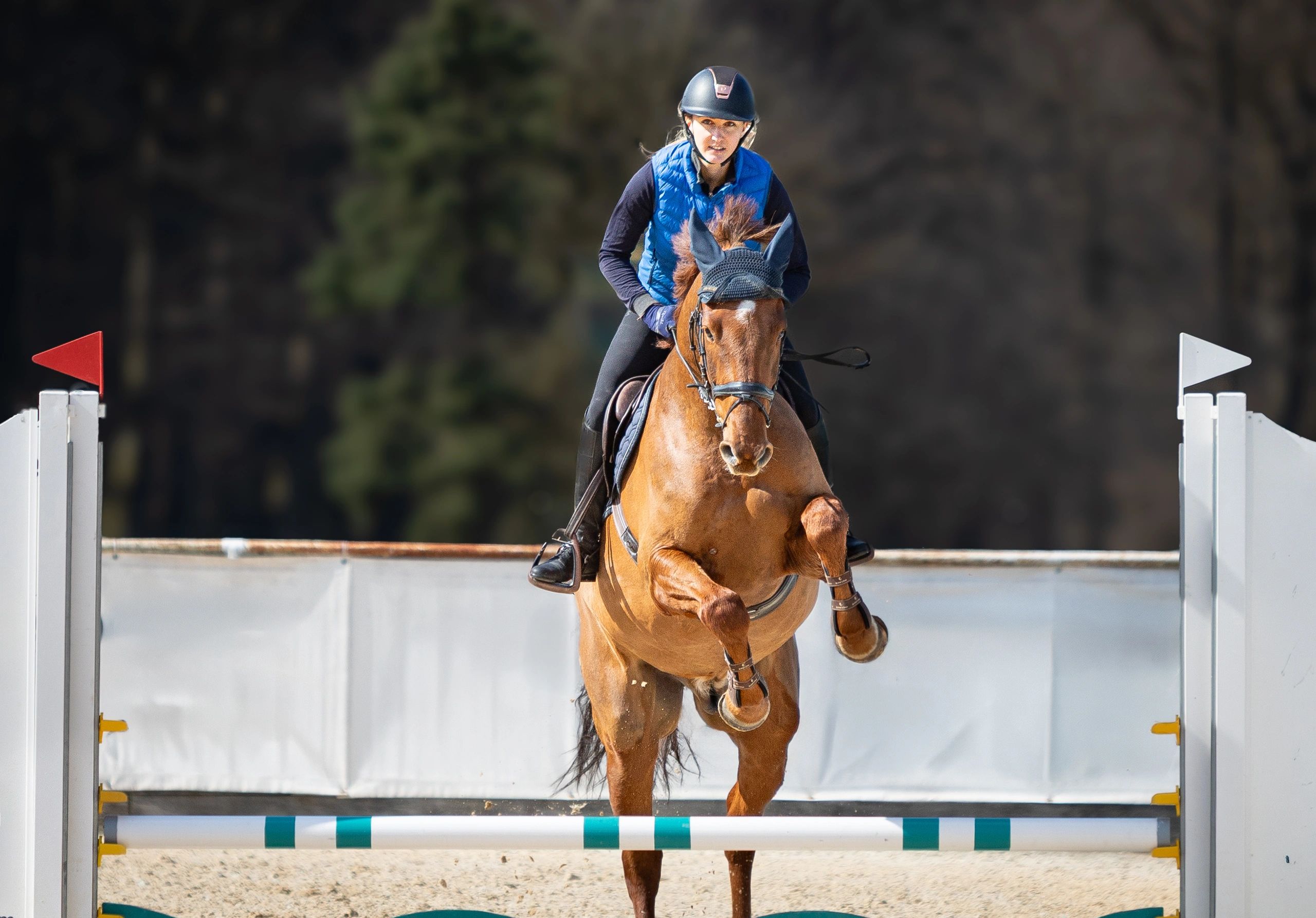 Show jumping action captured during event coverage